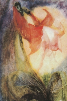 Schilderij van een bloem door Max Prantl